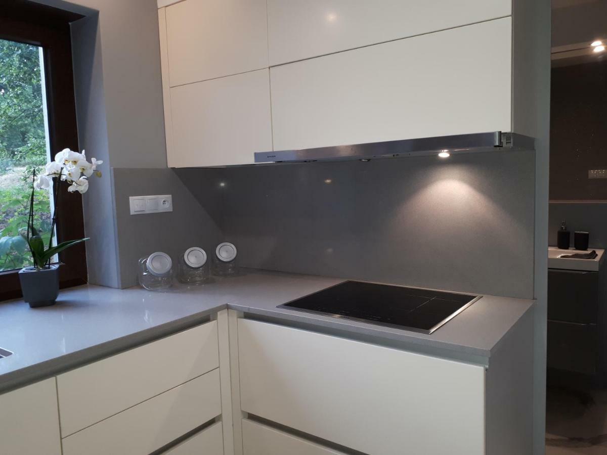 Apartamenty Centrum- Kochanowskiego -Dawniej Two-Bedroom Apartment Zielona Góra Extérieur photo